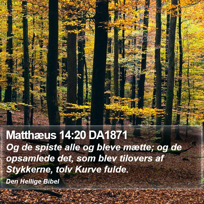 Matthæus 14:20 DA1871 Bible Study