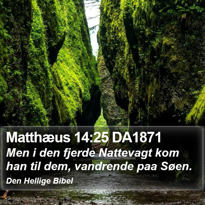 Matthæus 14:25 DA1871 Bible Study