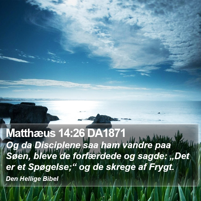 Matthæus 14:26 DA1871 Bible Study
