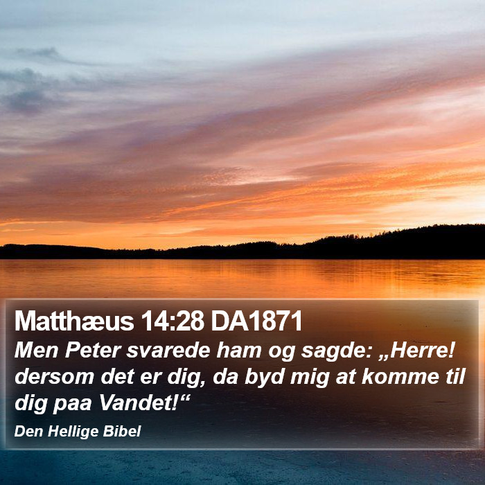 Matthæus 14:28 DA1871 Bible Study