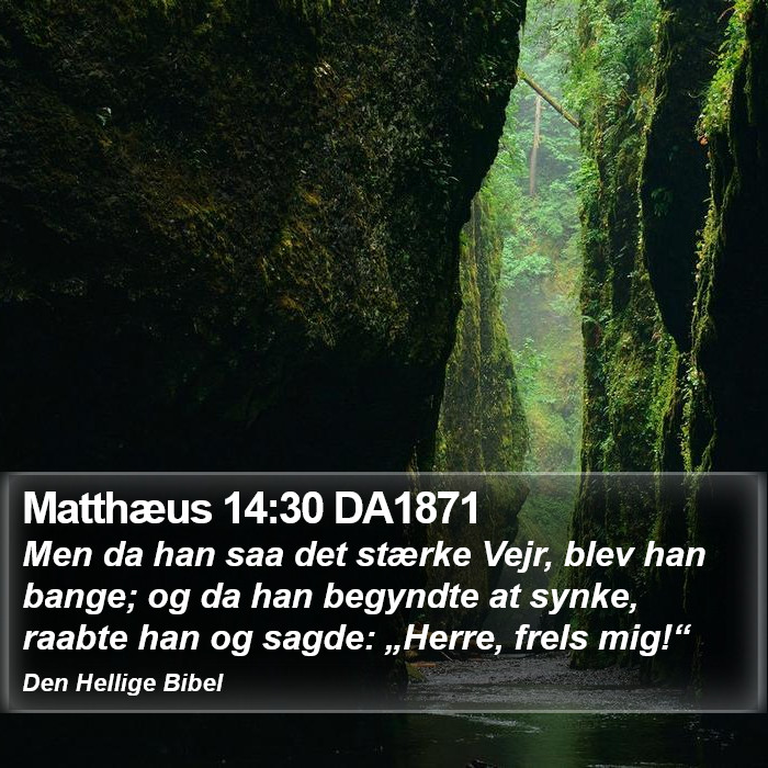 Matthæus 14:30 DA1871 Bible Study