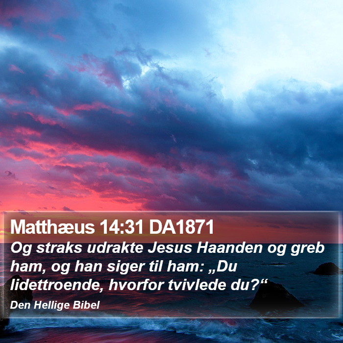 Matthæus 14:31 DA1871 Bible Study