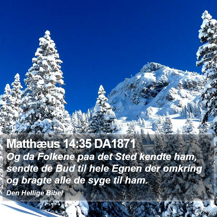 Matthæus 14:35 DA1871 Bible Study