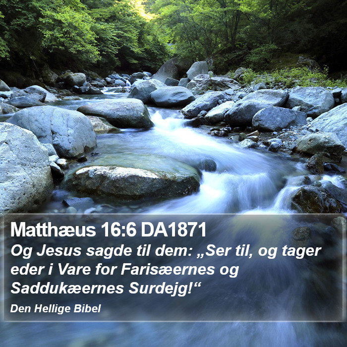 Matthæus 16:6 DA1871 Bible Study