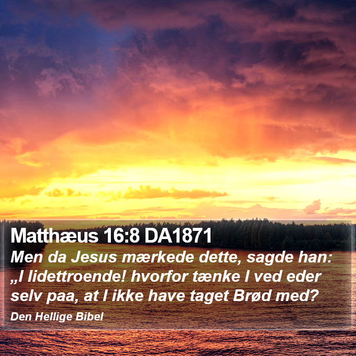 Matthæus 16:8 DA1871 Bible Study