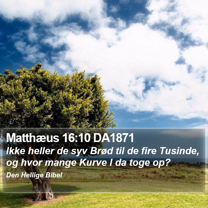 Matthæus 16:10 DA1871 Bible Study