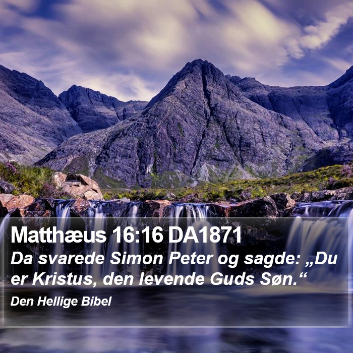 Matthæus 16:16 DA1871 Bible Study