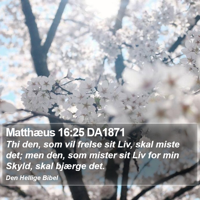 Matthæus 16:25 DA1871 Bible Study