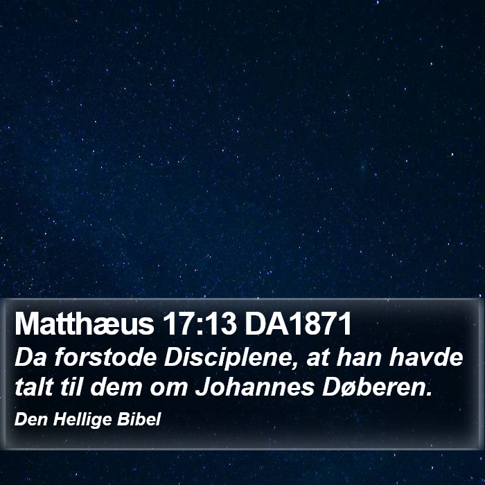 Matthæus 17:13 DA1871 Bible Study