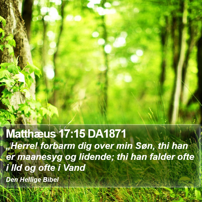 Matthæus 17:15 DA1871 Bible Study