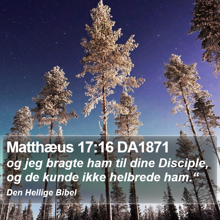 Matthæus 17:16 DA1871 Bible Study