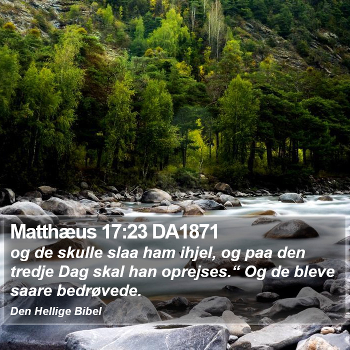 Matthæus 17:23 DA1871 Bible Study