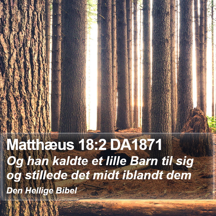 Matthæus 18:2 DA1871 Bible Study