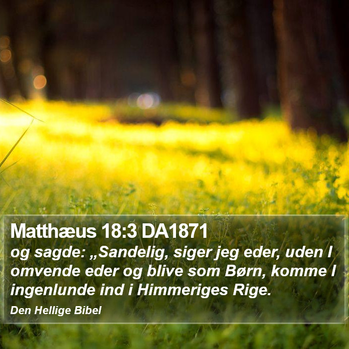 Matthæus 18:3 DA1871 Bible Study