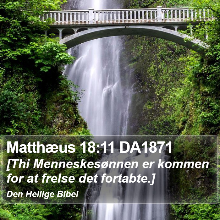 Matthæus 18:11 DA1871 Bible Study