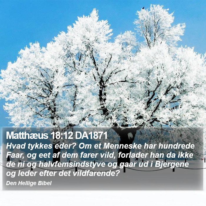 Matthæus 18:12 DA1871 Bible Study