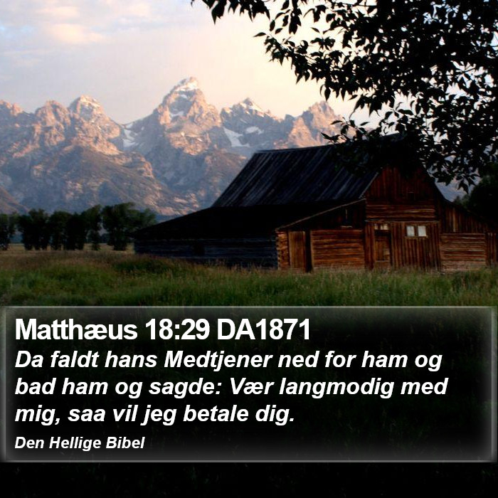 Matthæus 18:29 DA1871 Bible Study