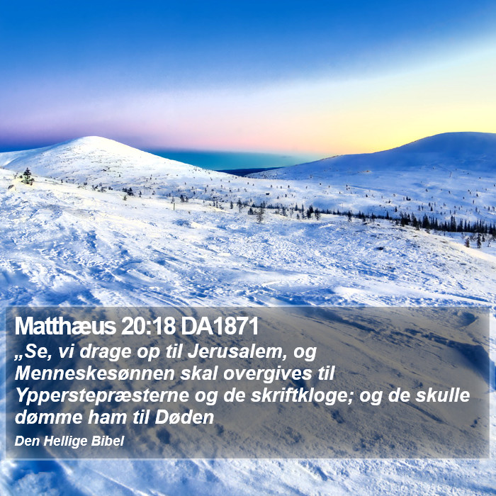 Matthæus 20:18 DA1871 Bible Study