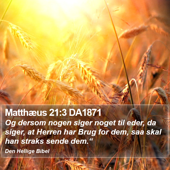 Matthæus 21:3 DA1871 Bible Study