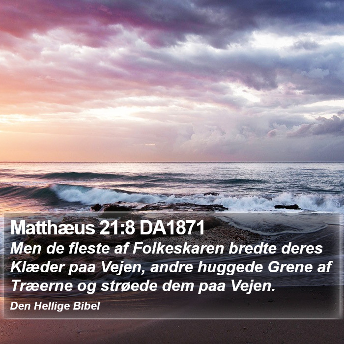 Matthæus 21:8 DA1871 Bible Study