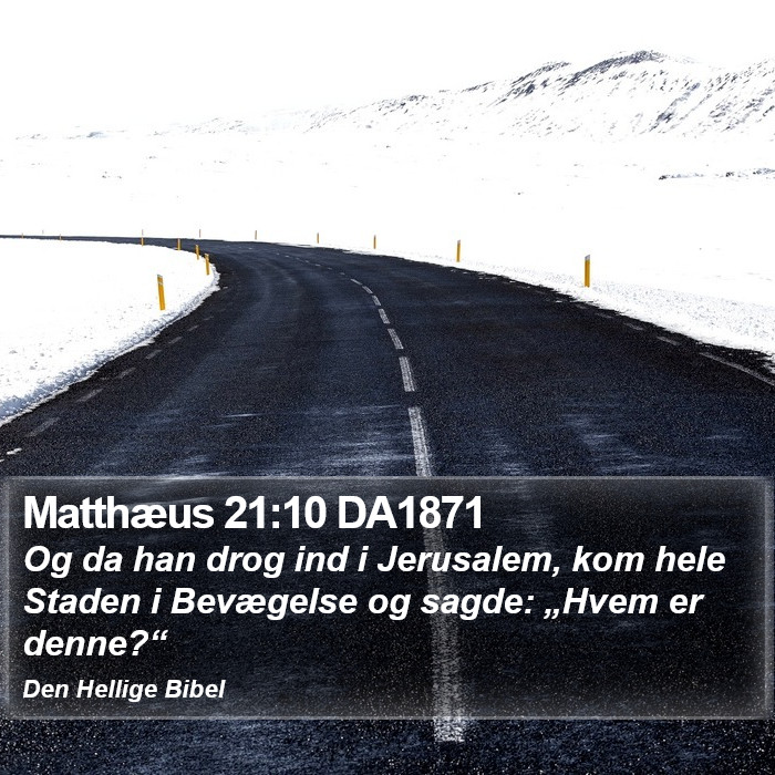 Matthæus 21:10 DA1871 Bible Study