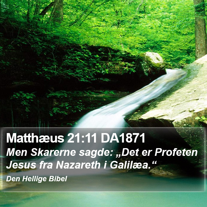 Matthæus 21:11 DA1871 Bible Study