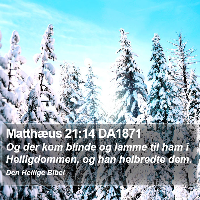 Matthæus 21:14 DA1871 Bible Study