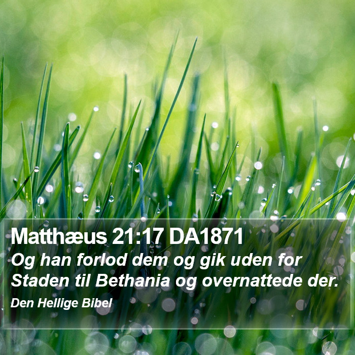 Matthæus 21:17 DA1871 Bible Study