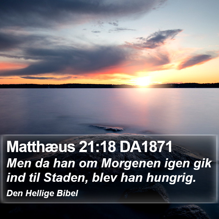 Matthæus 21:18 DA1871 Bible Study