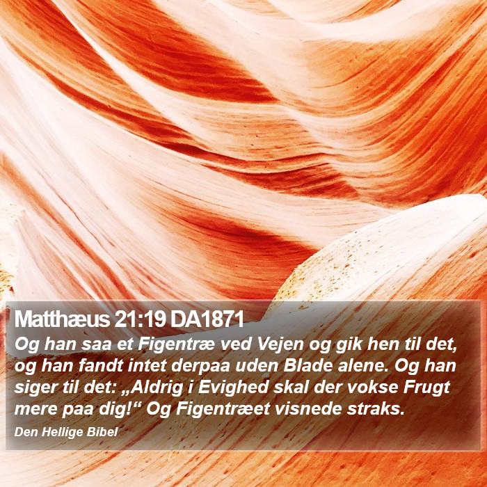 Matthæus 21:19 DA1871 Bible Study