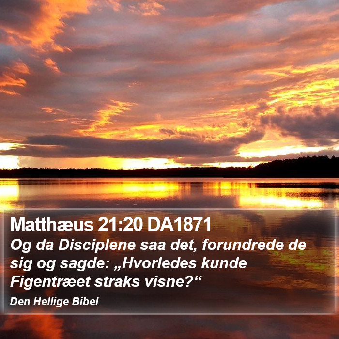 Matthæus 21:20 DA1871 Bible Study