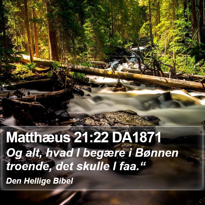 Matthæus 21:22 DA1871 Bible Study