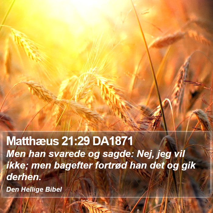 Matthæus 21:29 DA1871 Bible Study