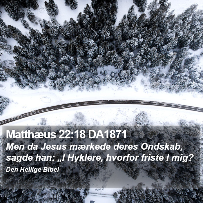 Matthæus 22:18 DA1871 Bible Study