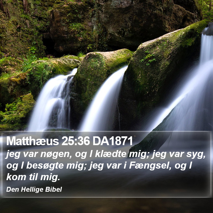 Matthæus 25:36 DA1871 Bible Study