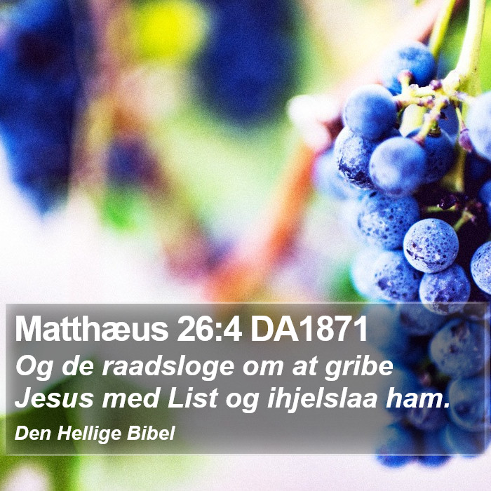 Matthæus 26:4 DA1871 Bible Study