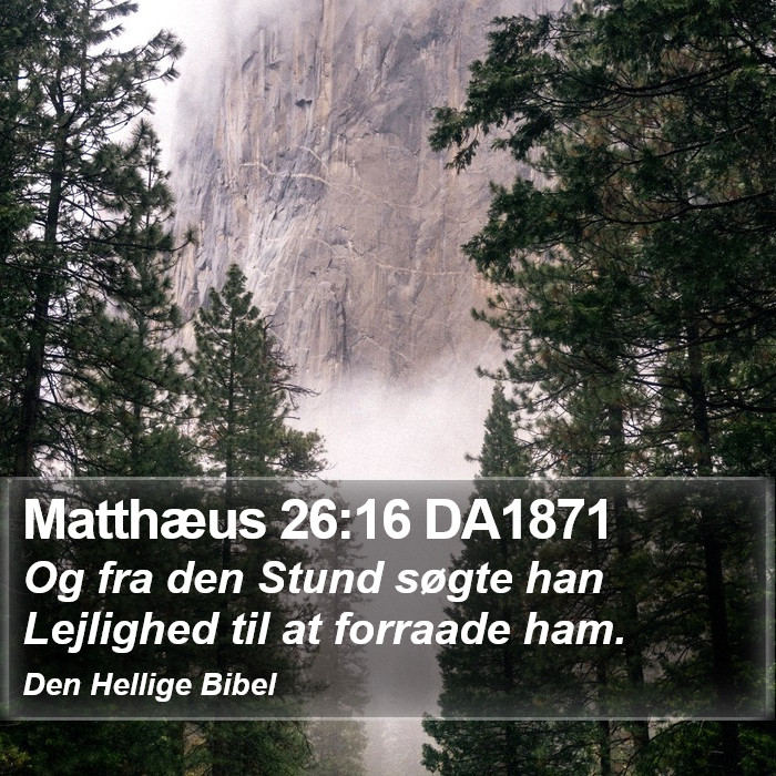 Matthæus 26:16 DA1871 Bible Study