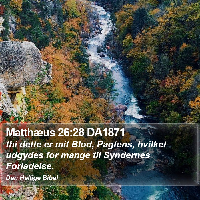 Matthæus 26:28 DA1871 Bible Study