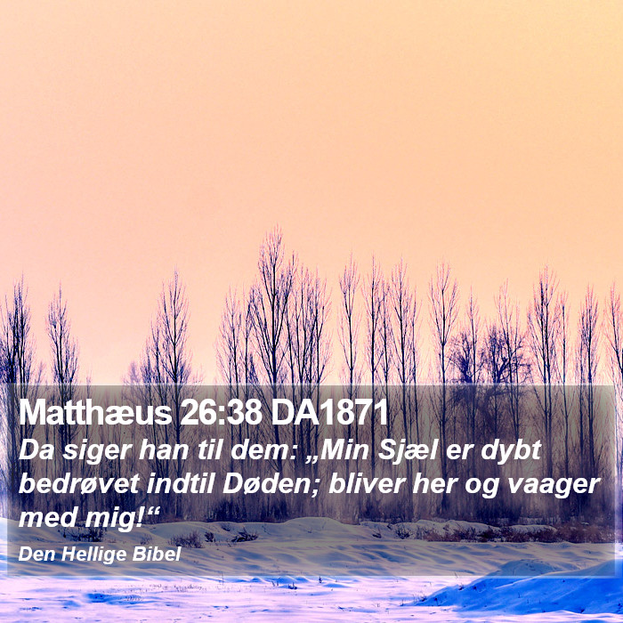 Matthæus 26:38 DA1871 Bible Study