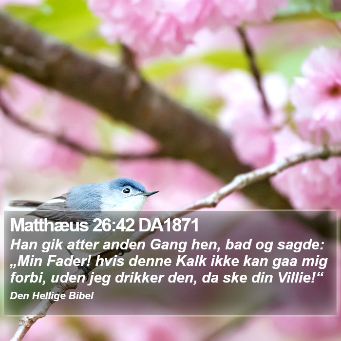 Matthæus 26:42 DA1871 Bible Study