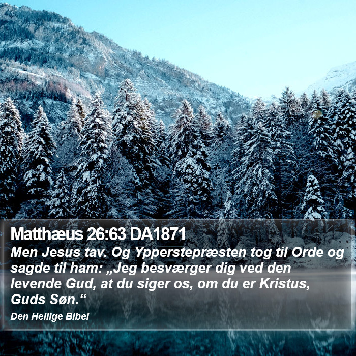 Matthæus 26:63 DA1871 Bible Study