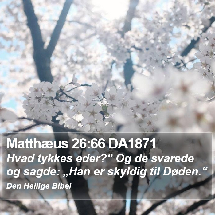 Matthæus 26:66 DA1871 Bible Study