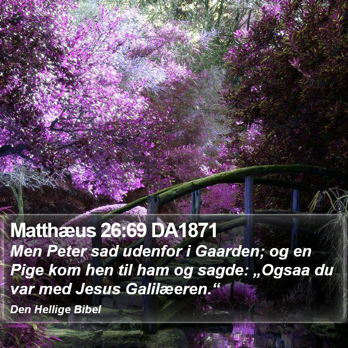 Matthæus 26:69 DA1871 Bible Study