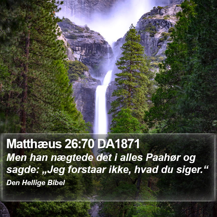 Matthæus 26:70 DA1871 Bible Study