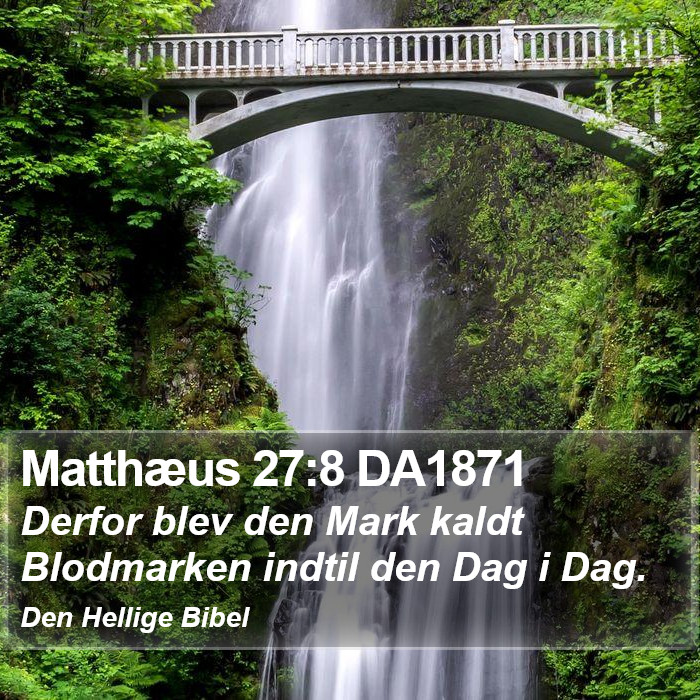 Matthæus 27:8 DA1871 Bible Study