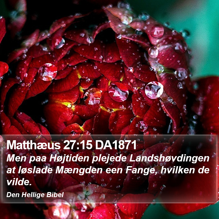 Matthæus 27:15 DA1871 Bible Study