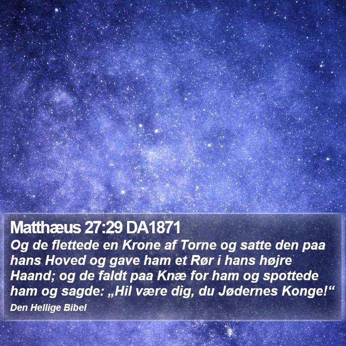 Matthæus 27:29 DA1871 Bible Study