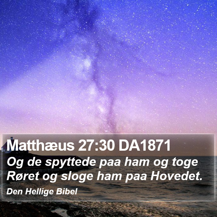 Matthæus 27:30 DA1871 Bible Study