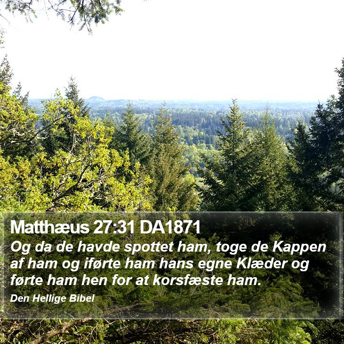 Matthæus 27:31 DA1871 Bible Study