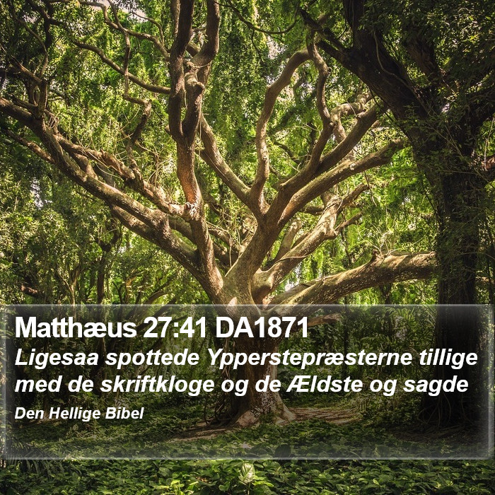 Matthæus 27:41 DA1871 Bible Study